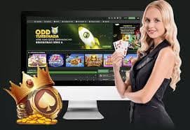777vip ဘောလုံး Bet အဆင့်ဆင့် Sportsbook Interface ပုံ